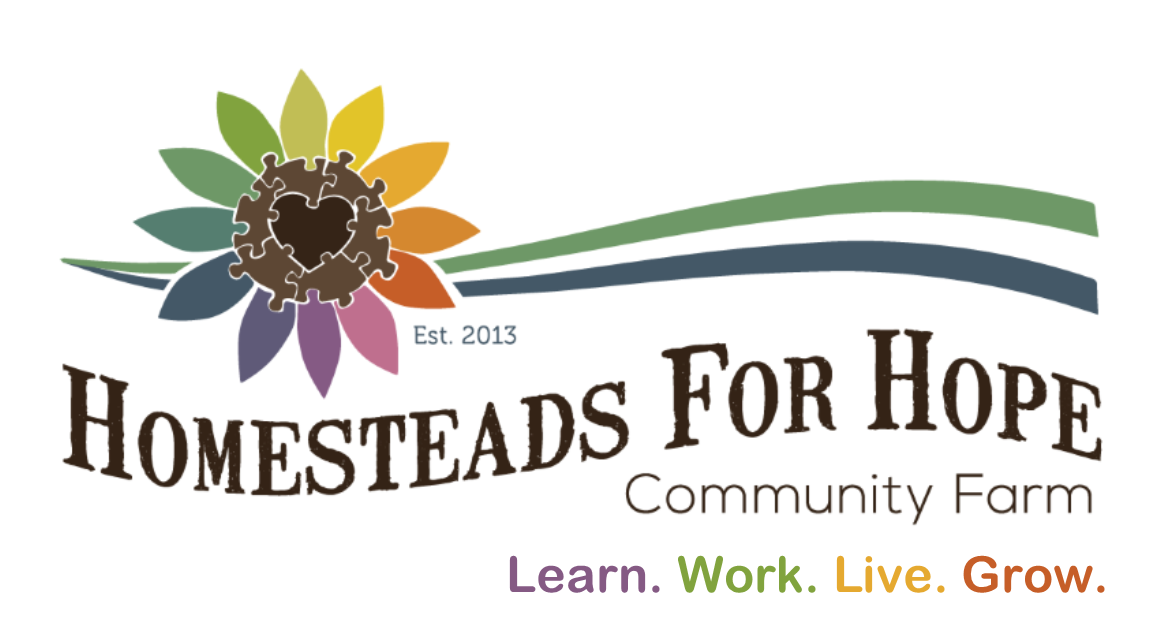 Homesteads for Hope, Community Farm & Future Housing Village